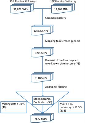 Comparison Between Core Set Selection Methods Using Different Illumina Marker Platforms: A Case Study of Assessment of Diversity in Wheat